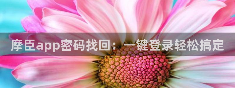 OB视讯3注册：摩臣app密码找回：一键登录轻松搞定