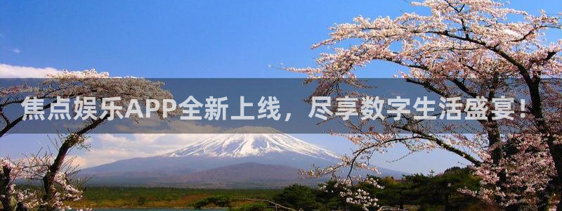 OB视讯官网版下载链接：焦点娱乐APP全新上线，尽享数字生活盛宴！