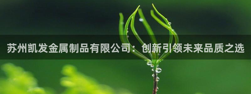 苹果版OB视讯下载安装：苏州凯发金属制品有限公司：创新引领未来品质之选