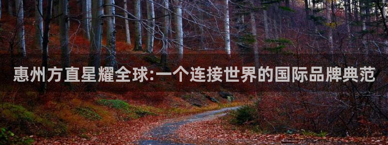 OB视讯凯捷开号链接：惠州方直星耀全球:一个连接世界的国际品牌典范