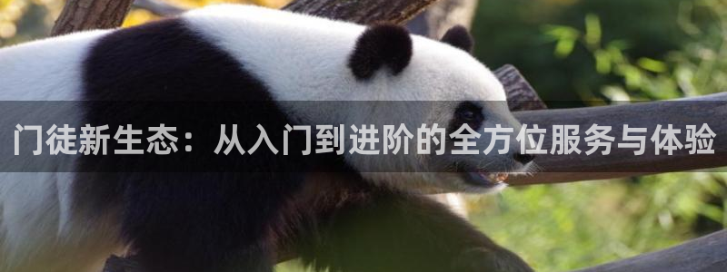 OB视讯麻将胡了：门徒新生态：从入门到进阶的全方位服务与体验