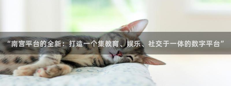 东莞市OB视讯电子科技有限公司：“南宫平台的全新：打造一个集教育、娱乐、社交于一