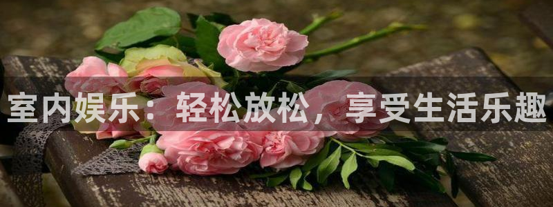 OB视讯游戏官网平台：室内娱乐：轻松放松，享受生活乐趣
