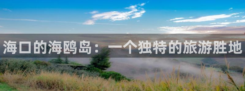 OB视讯3代理：海口的海鸥岛：一个独特的旅游胜地