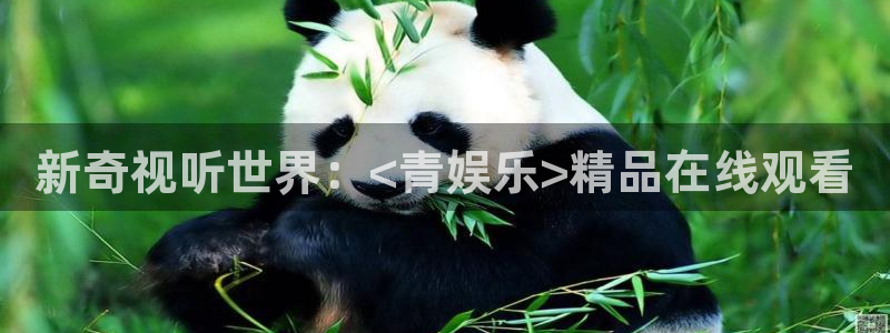 OB视讯平台官方入口下载：新奇视听世界：<青娱乐>精品在线观看