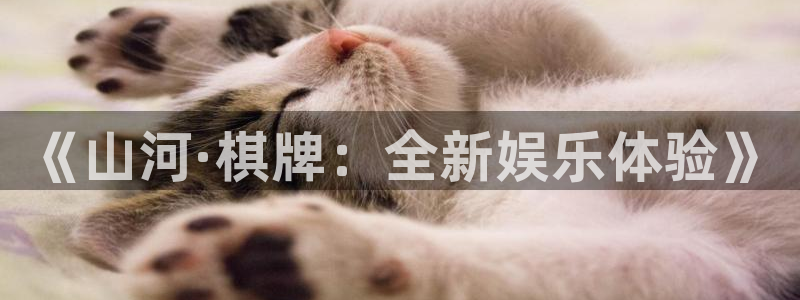 OB视讯官网版下载链接：《山河·棋牌：全新娱乐体验》