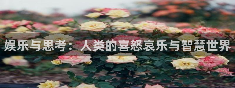 东莞市OB视讯电子科技有限公司：娱乐与思考：人类的喜怒哀乐与智慧世界