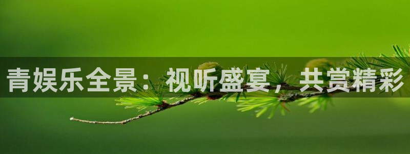 OB视讯是啥：青娱乐全景：视听盛宴，共赏精彩