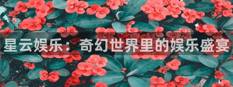 OB视讯官网入口：星云娱乐：奇幻世界里的娱乐盛宴