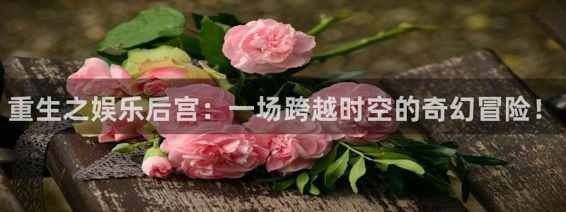 OB视讯3登录：重生之娱乐后宫：一场跨越时空的奇幻冒险！