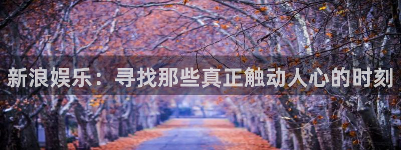 OB视讯体育代理申请流程：新浪娱乐：寻找那些真正触动人心的时刻