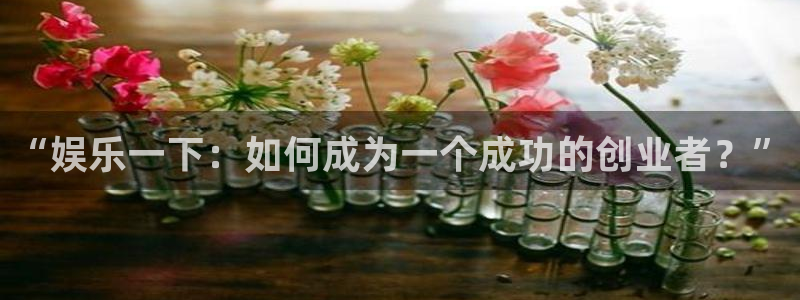 OB视讯主管：“娱乐一下：如何成为一个成功的创业者？”