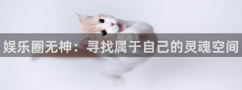 东莞市OB视讯电子科技有限公司：娱乐圈无神：寻找属于自己的灵魂空间