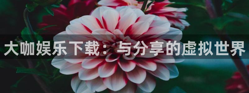 OB视讯3平台注册：大咖娱乐下载：与分享的虚拟世界