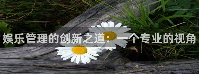 OB视讯代理注册官网入口：娱乐管理的创新之道：一个专业的视角