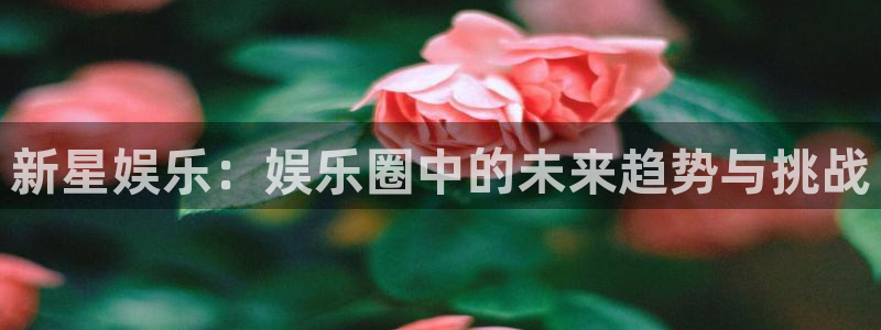 OB视讯体育游戏：新星娱乐：娱乐圈中的未来趋势与挑战