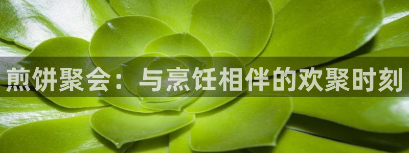 OB视讯.ccmpc29官网版下载：煎饼聚会：与烹饪相伴的欢聚时刻