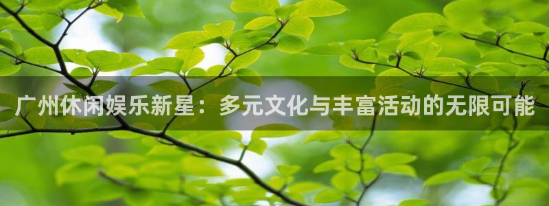 OB视讯下载地址：广州休闲娱乐新星：多元文化与丰富活动的无限可能