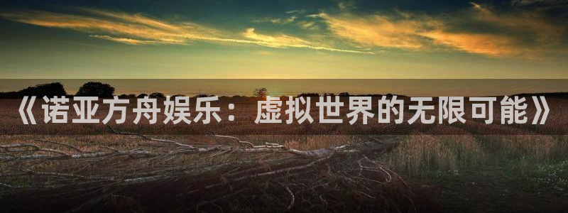OB视讯电子有限公司：《诺亚方舟娱乐：虚拟世界的无限可能》